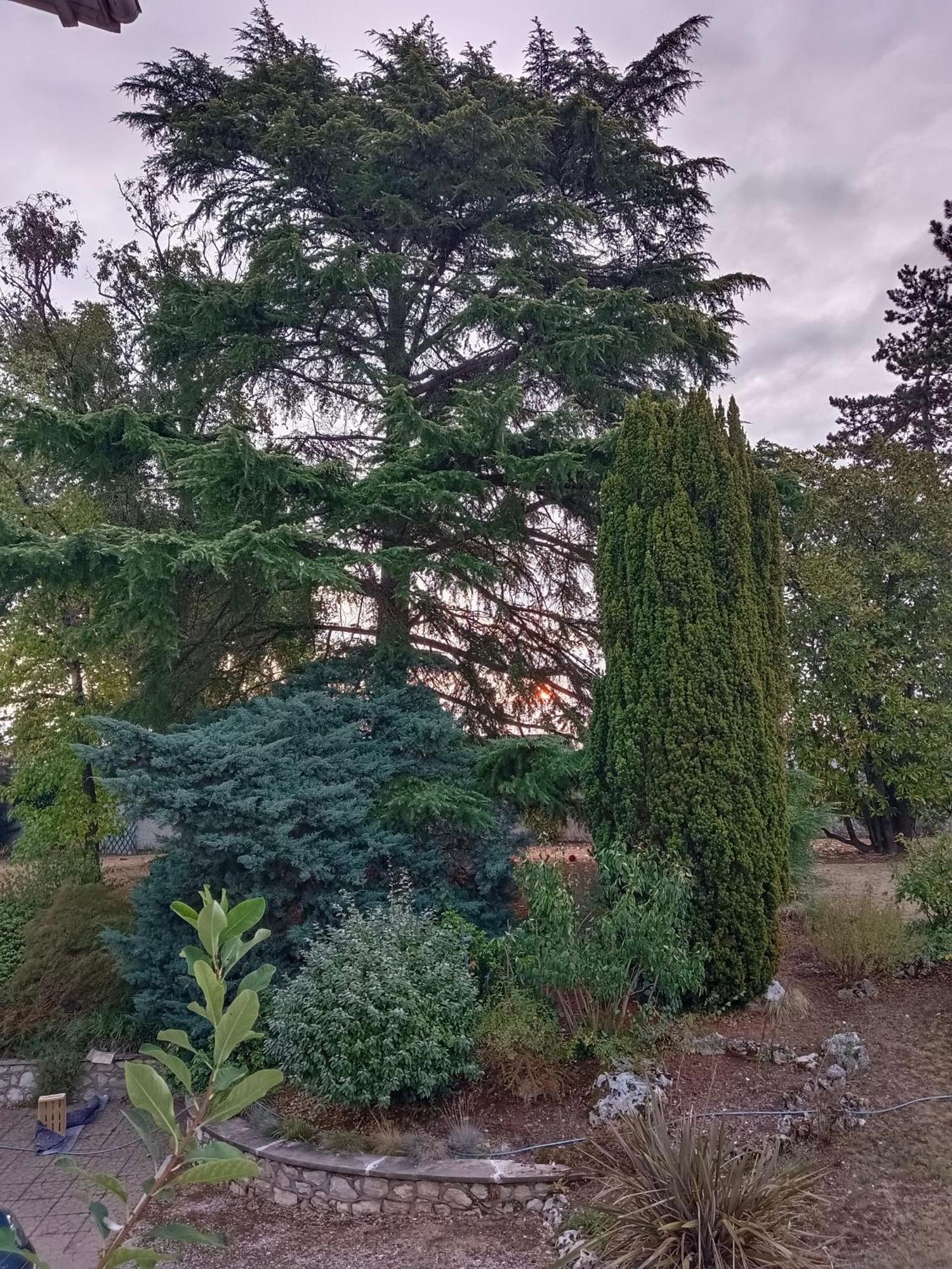 La Maison Basque سات ليفراد سور إِلْ المظهر الخارجي الصورة